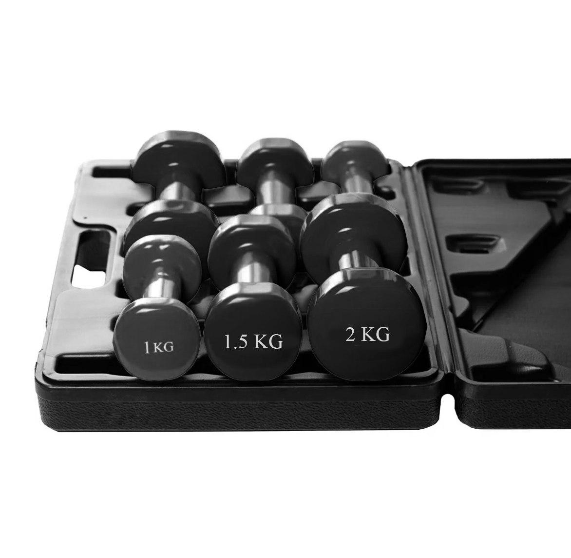 Набір гантелей в кейсі 9 кг. PowerPlay 4121 Fitness Dumbells (2шт.*1кг. 2шт.*1,5кг. 2шт.*2кг.)