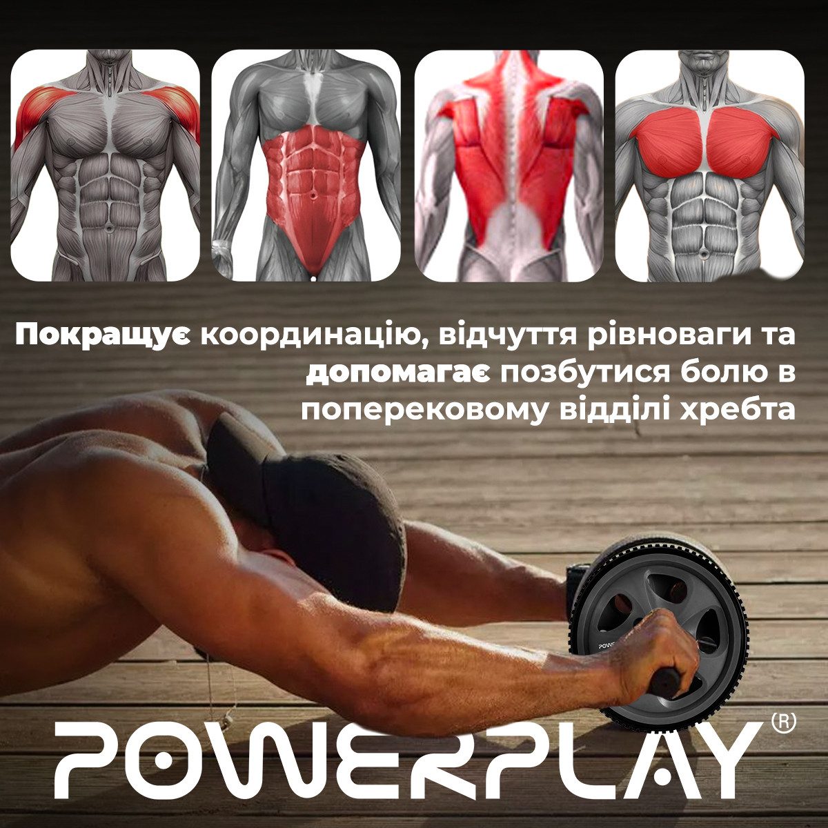 Колесо для преса PowerPlay PP-4345 Exercise Wheel (d16.5cm.) Сіре