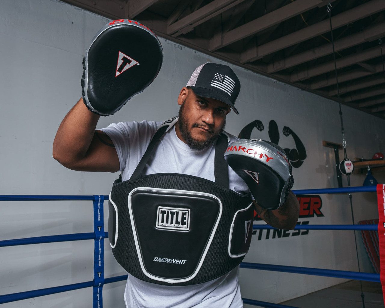 Лапи боксерські TITLE Boxing Aerovent Anarchy Punch Mitts Black/Silver