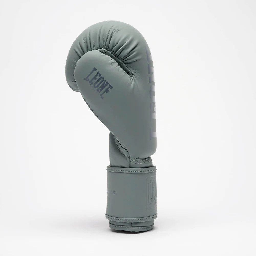 Боксерські рукавиці Leone GN058 TONE X Light grey 12 унцій