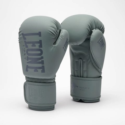 Боксерські рукавиці Leone GN058 TONE X Light grey 12 унцій